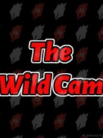 TheWildCam`s avatar