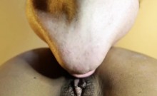 Hairy Pussy Banged From Behind